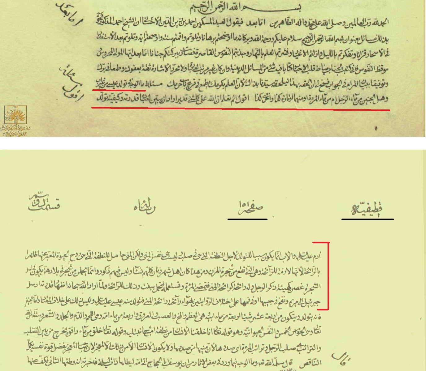Manuscript of Shaykh Ahmad's Penis Tree